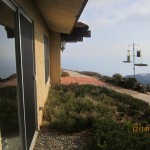 Window Screens