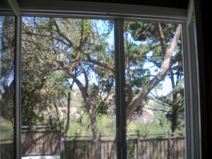 Studio City Window Screens