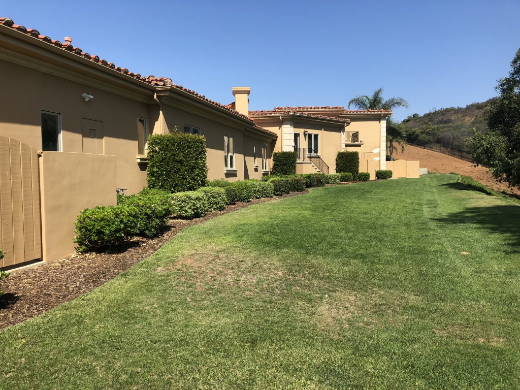 Window screen replacement in Calabasas